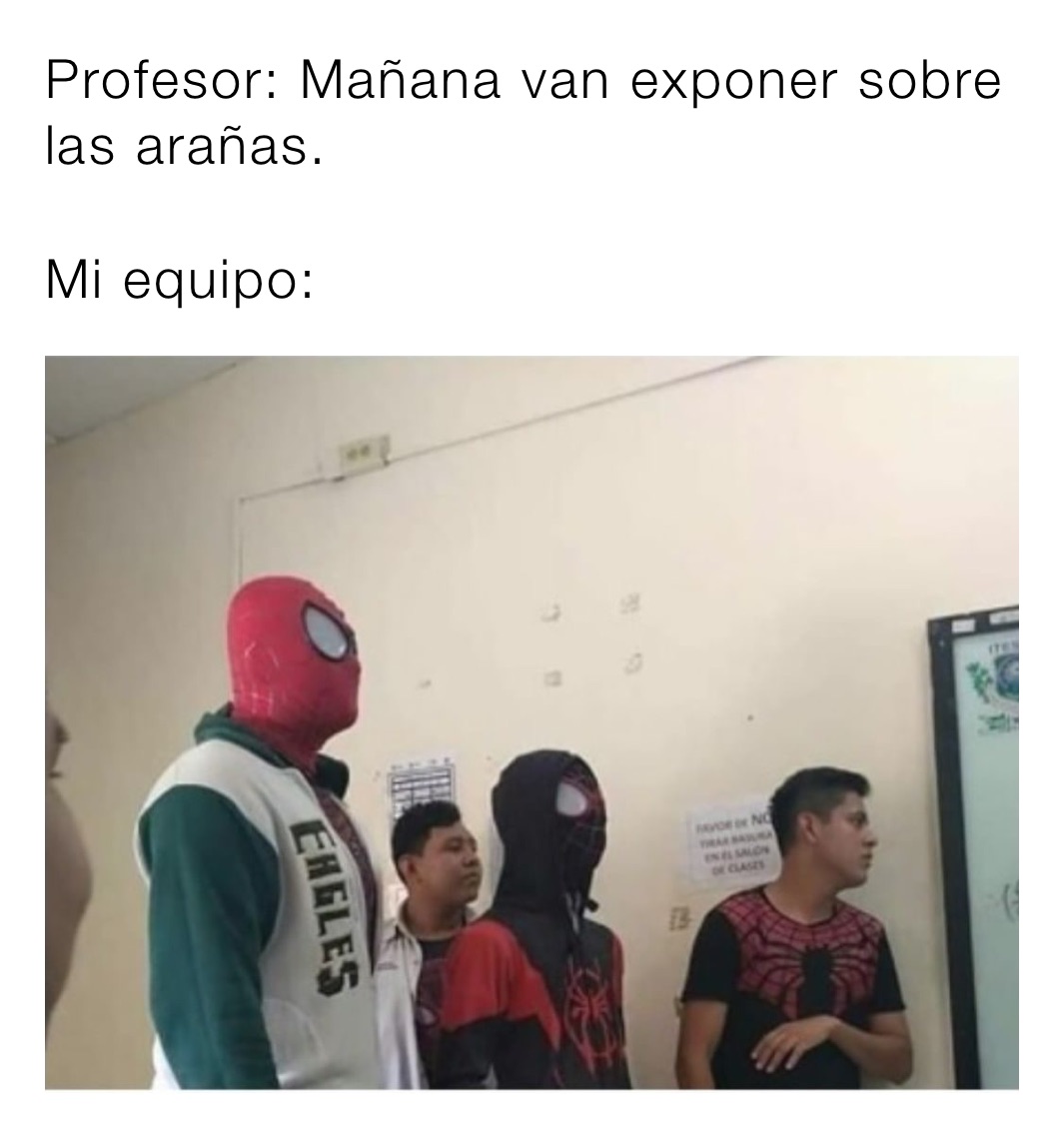 Profesor Mañana Van Exponer Sobre Las Arañas Mi Equipo Pepelo Memes 