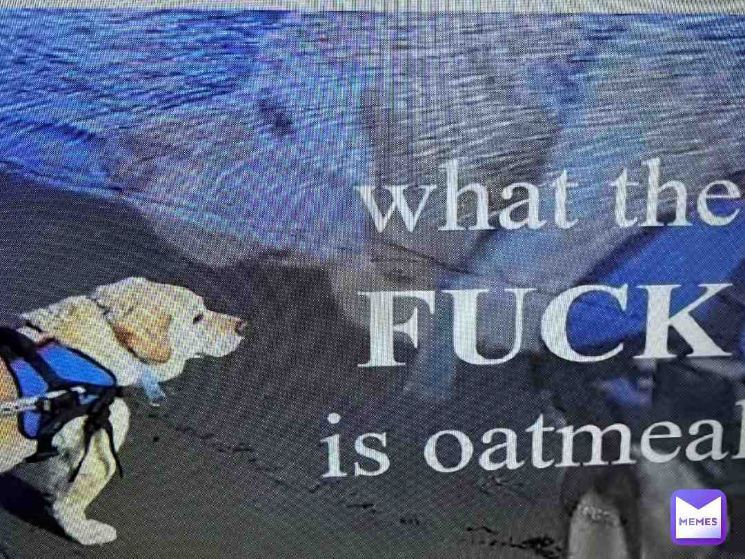 What the fuck is oatmeal