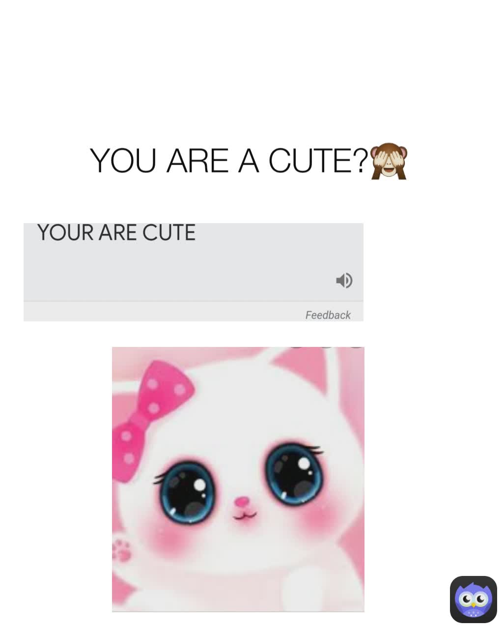 YOU ARE A CUTE?🙈 | @BMW12345 | Memes