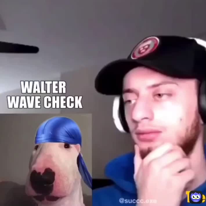 Meme shared by @chookun