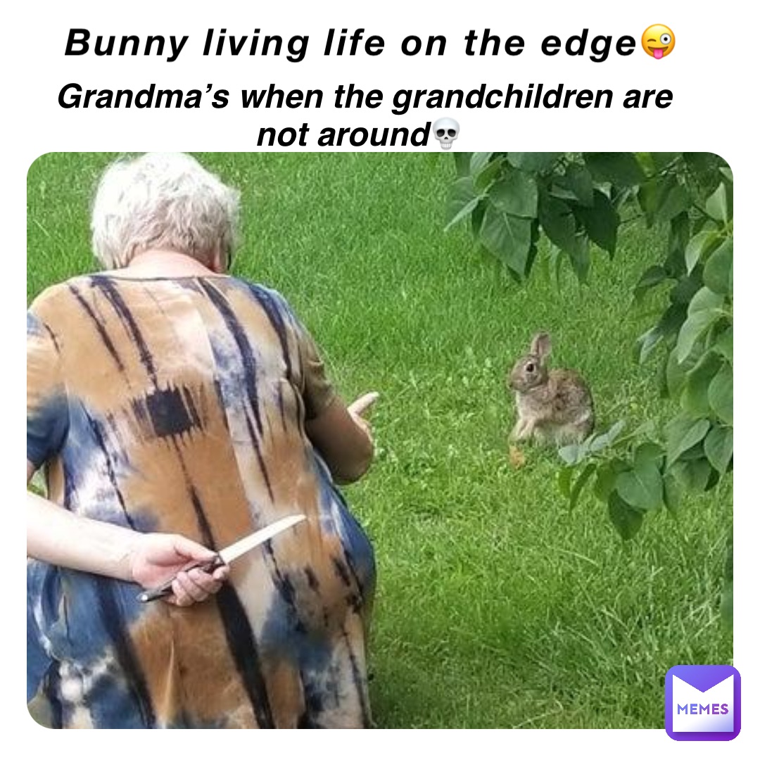 Bunny living life on the edge😜 Grandma’s when the grandchildren are not around💀