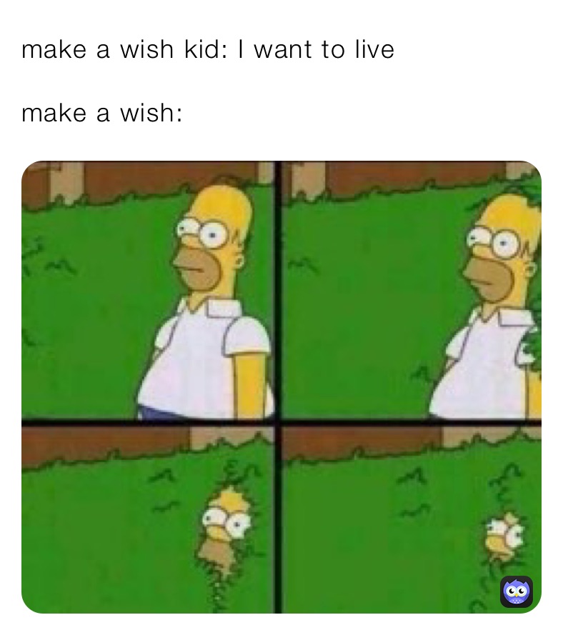 make a wish kid: I want to live 

make a wish: