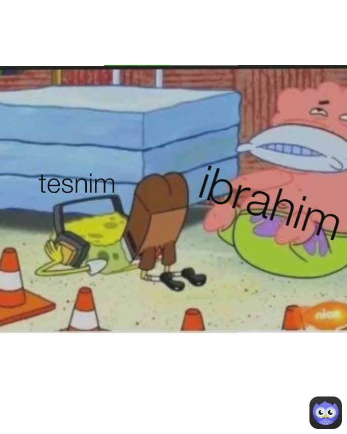 ibrahim tesnim