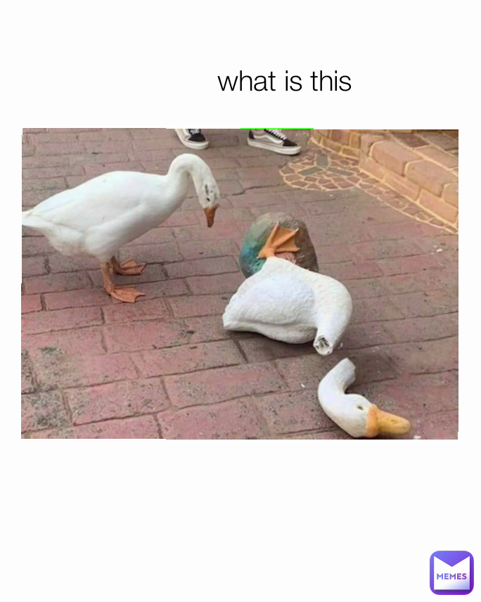 what is this