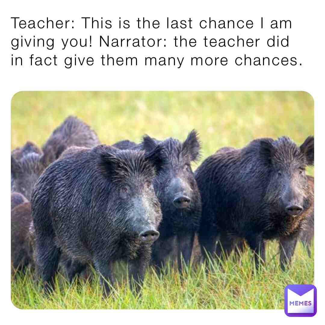 Teacher