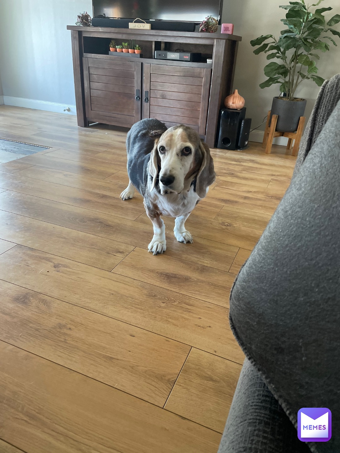 Meme by Weirdcore_Kiddo