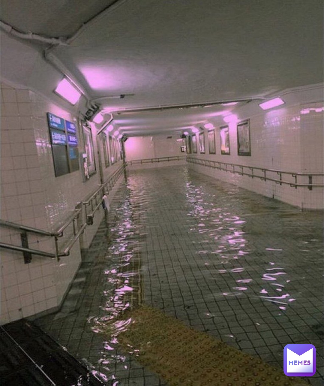 Meme by Weirdcore_Kiddo