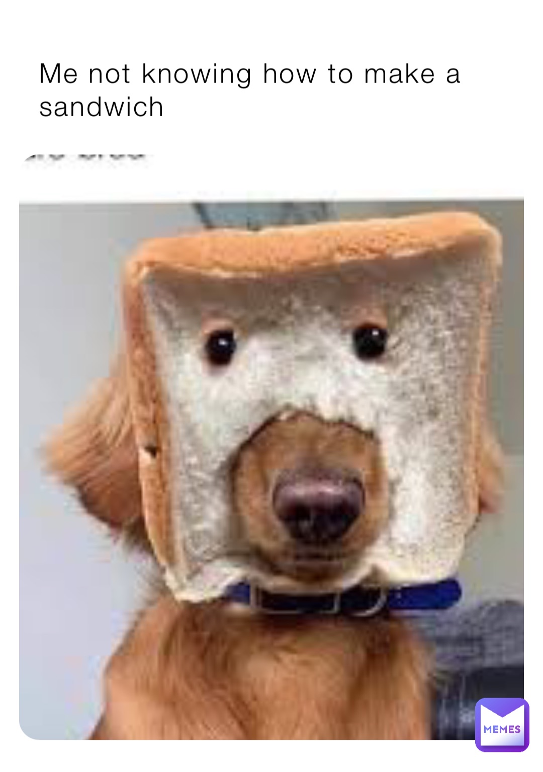 Me not knowing how to make a sandwich