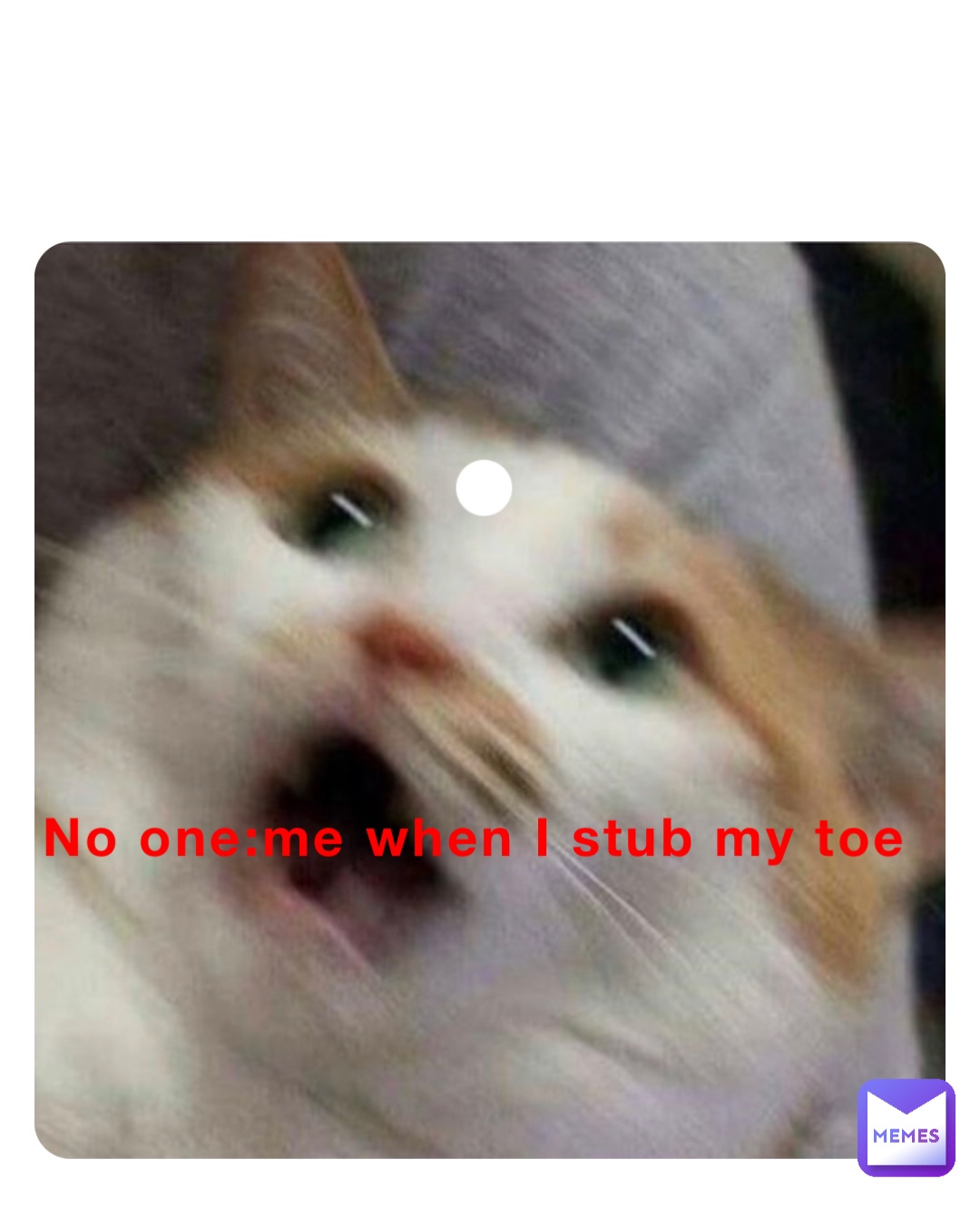 No one:me when I stub my toe