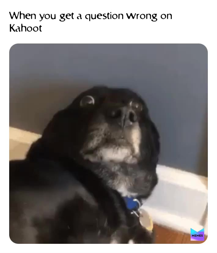 Meme shared by @Artemis_Kage