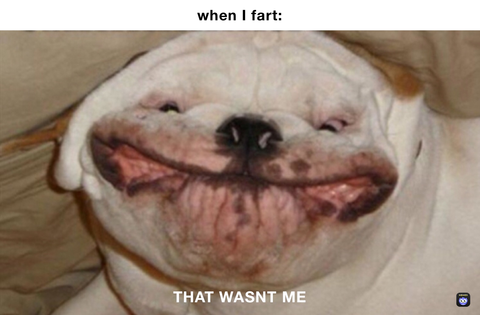 when I fart: THAT WASNT ME