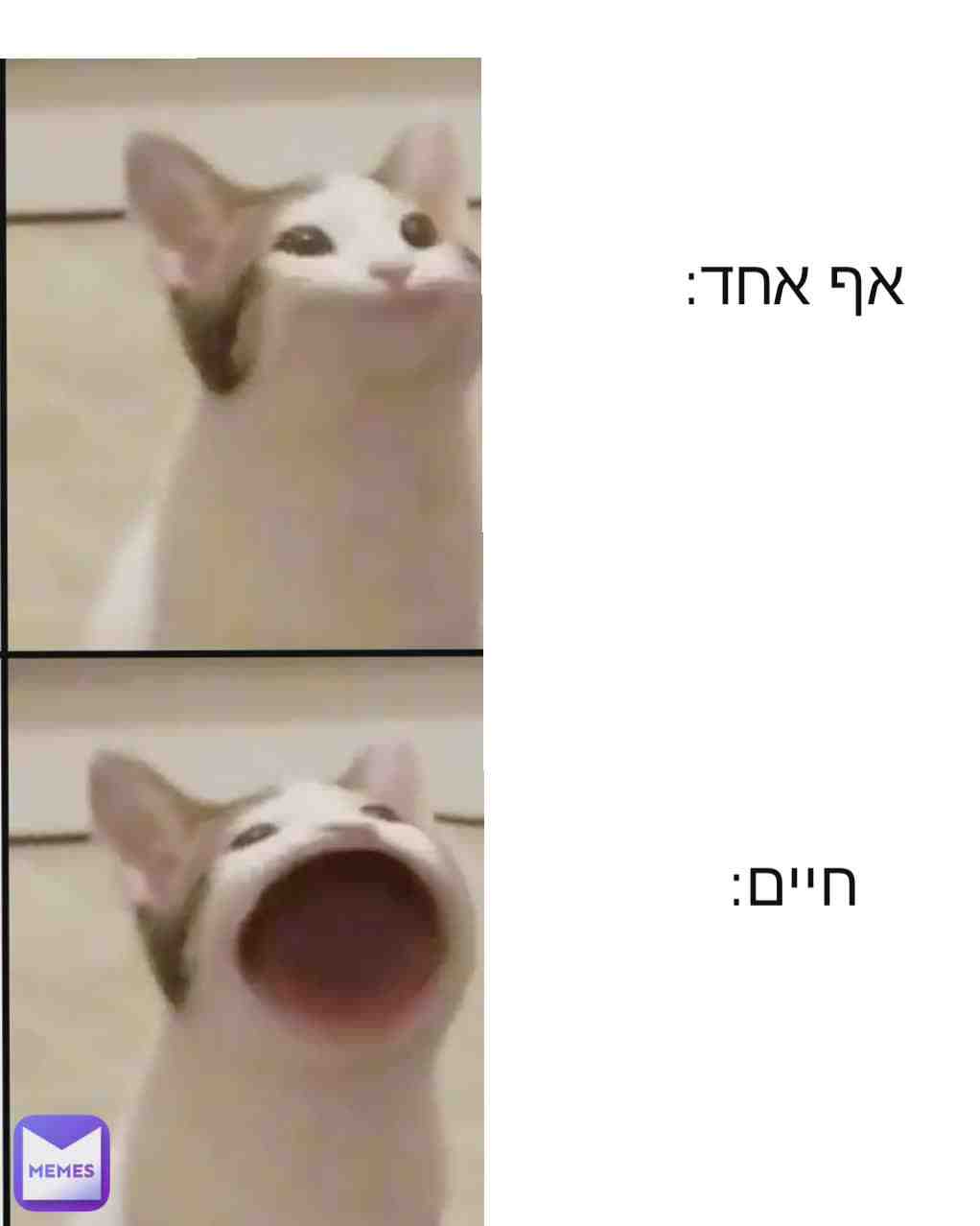 Meme shared by @adisass1