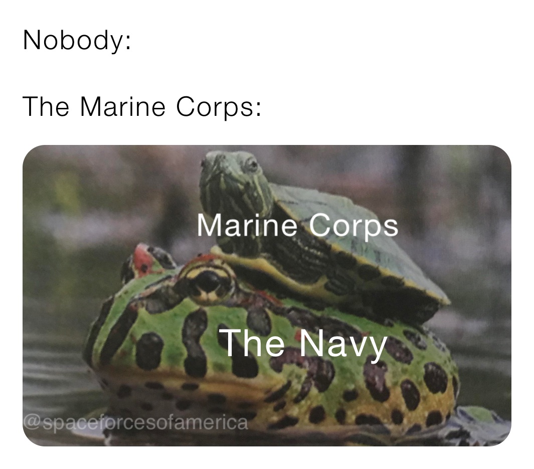 Nobody: 

The Marine Corps: 