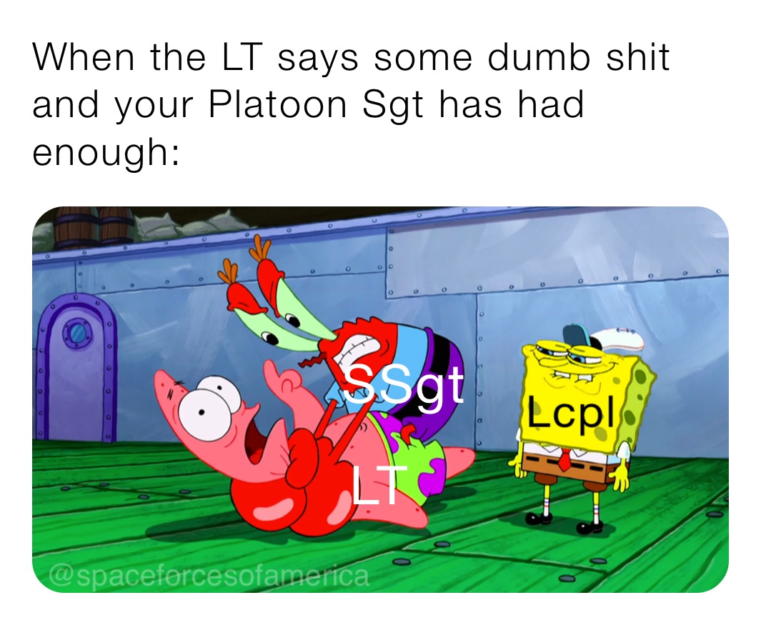 When the LT says some dumb shit and your Platoon Sgt has had enough: