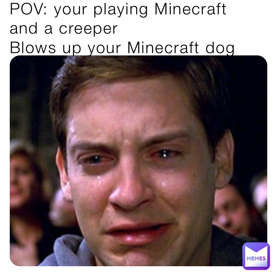 POV: your playing Minecraft and a creeper
Blows up your Minecraft dog