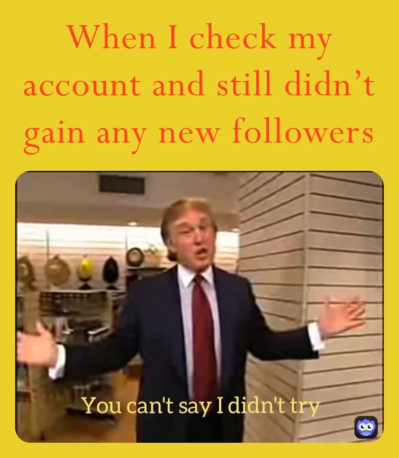 When I check my account and still didn’t gain any new followers 