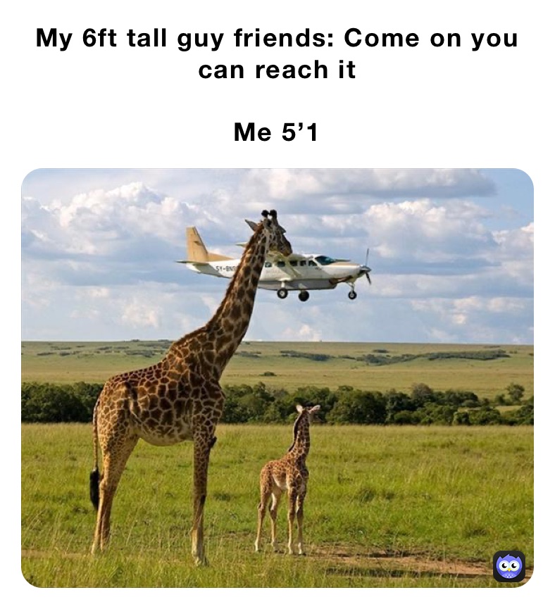 My 6ft tall guy friends: Come on you can reach it

Me 5’1