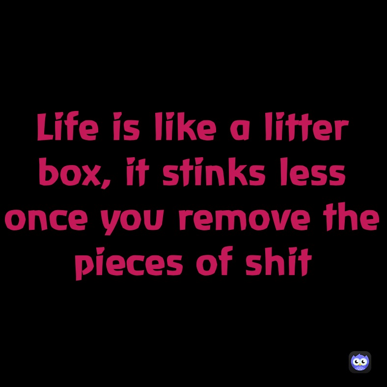 Life is like a litter box, it stinks less once you remove the pieces of shit