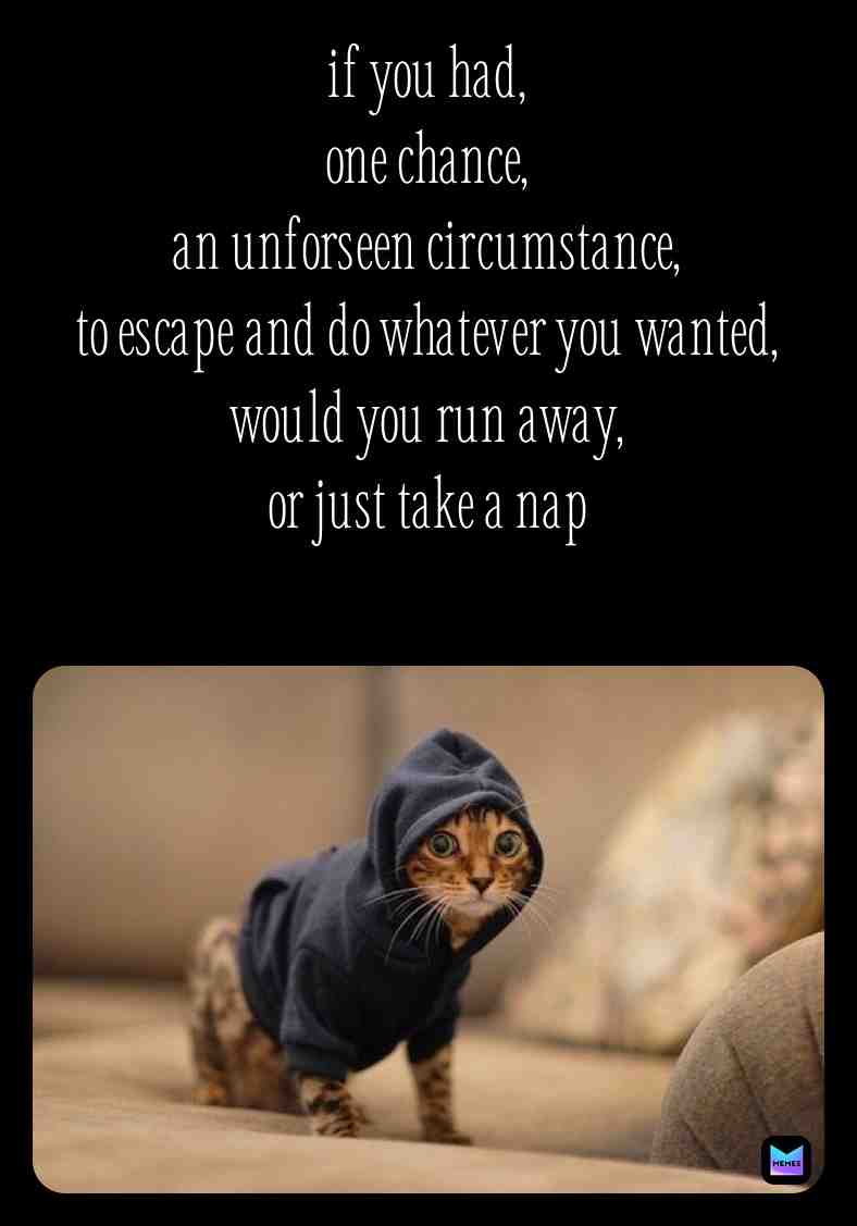 #funnymeme  #funny  #catmemes  #catsarefunny  #remix  #eminem