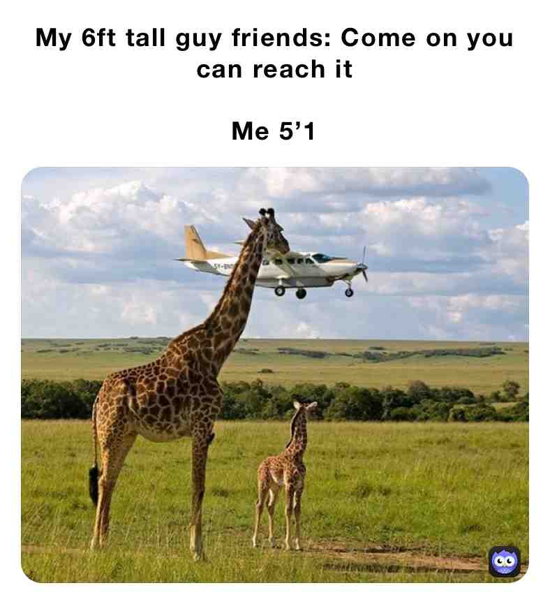 #funny #funnymeme #girlmemes #shortlife #shortgirls #shortpeopleproblems