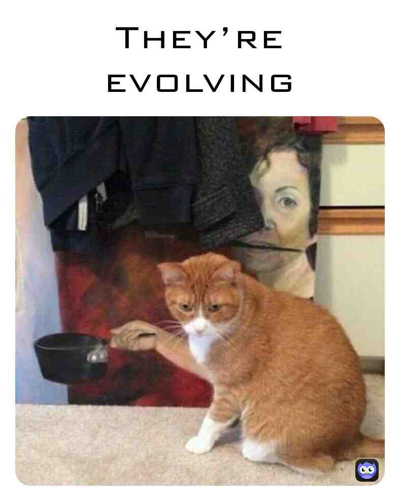 #funny #funnymeme #cats #catmemes #catsarefunny