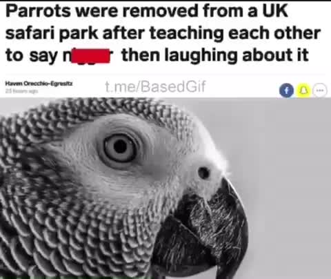 Meme shared by @ThatRandomkid