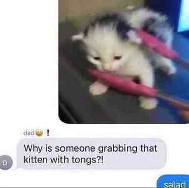 Salad of course
