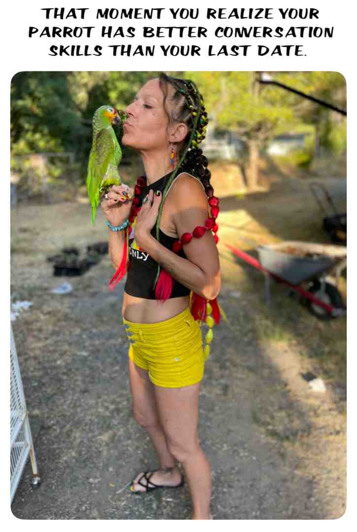 #parrots