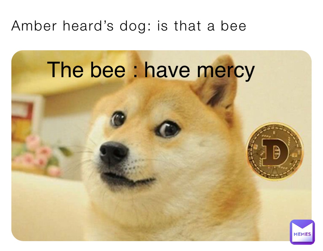 Amber heard’s dog: is that a bee The bee : have mercy