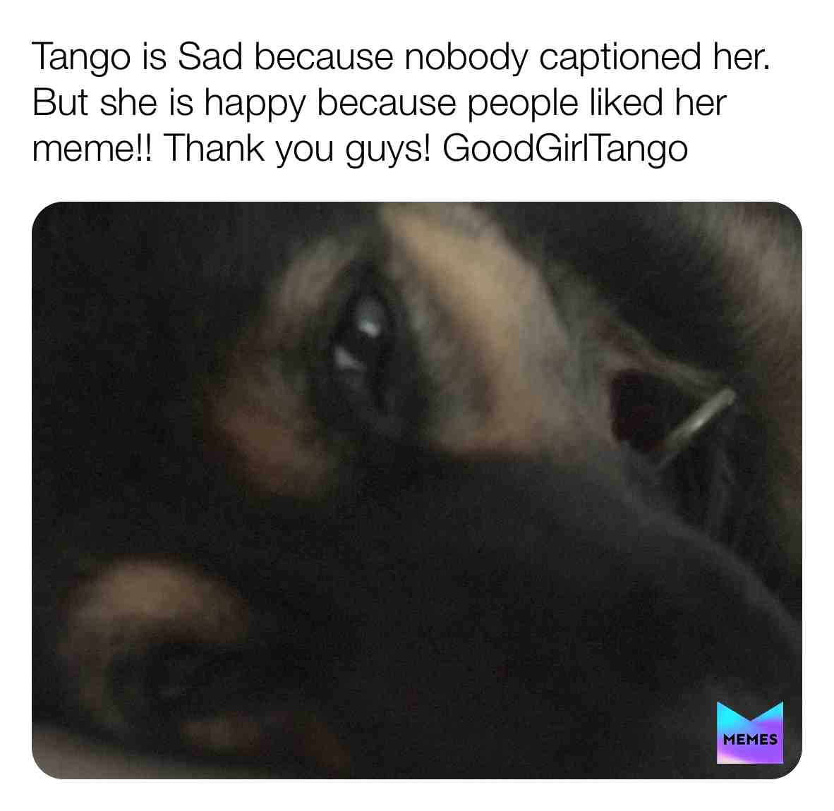 Thanks for the likes!