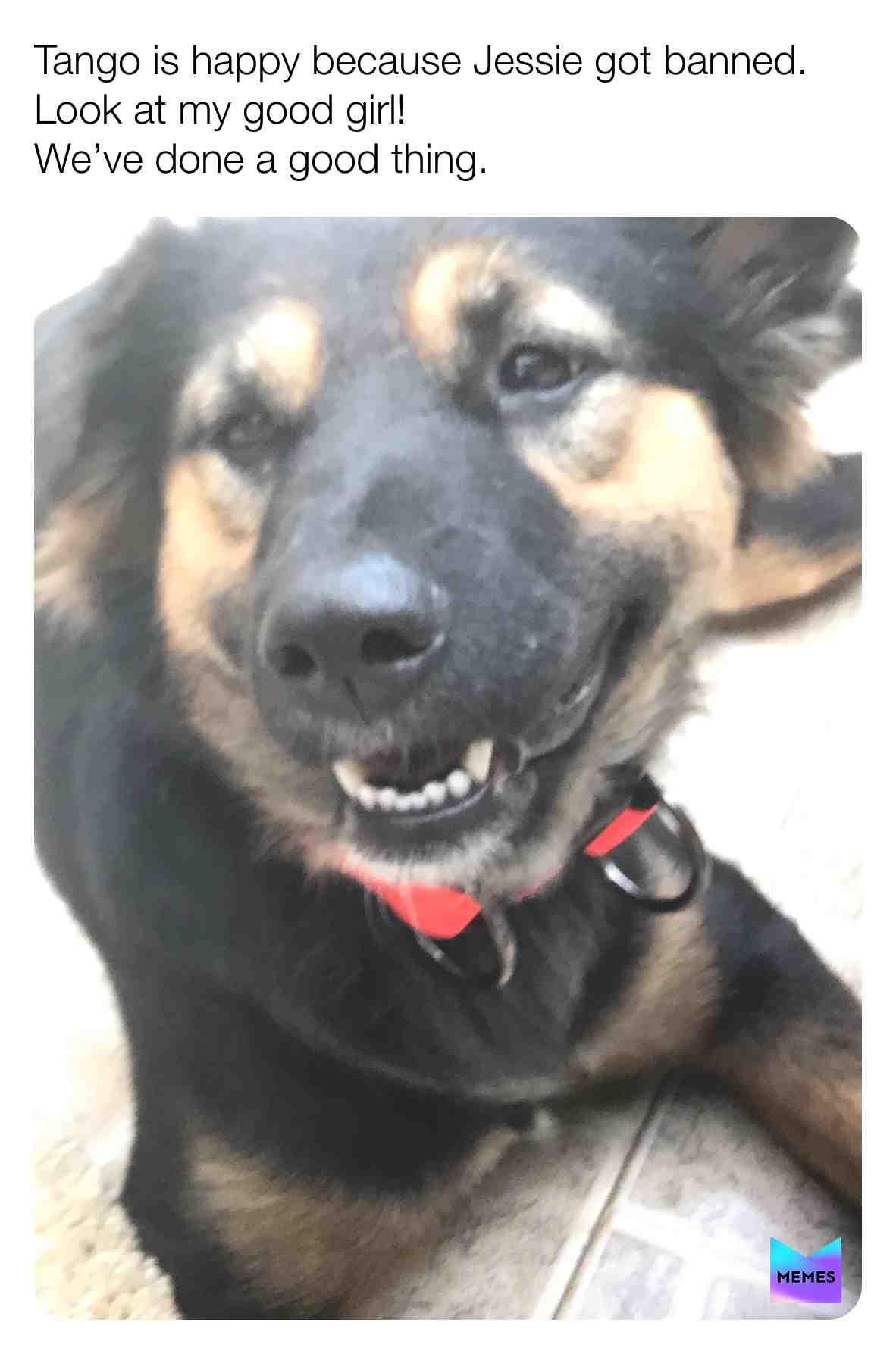 ​GoodGirlTango