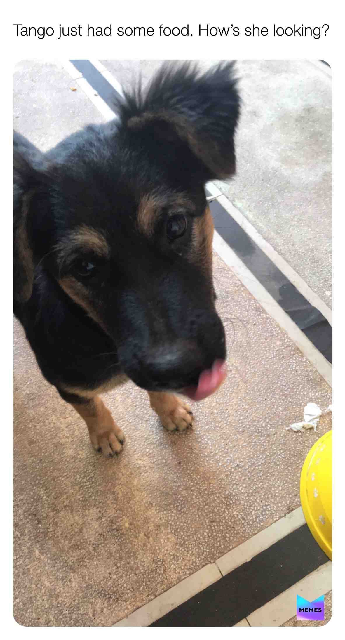 ​GoodGirlTango
