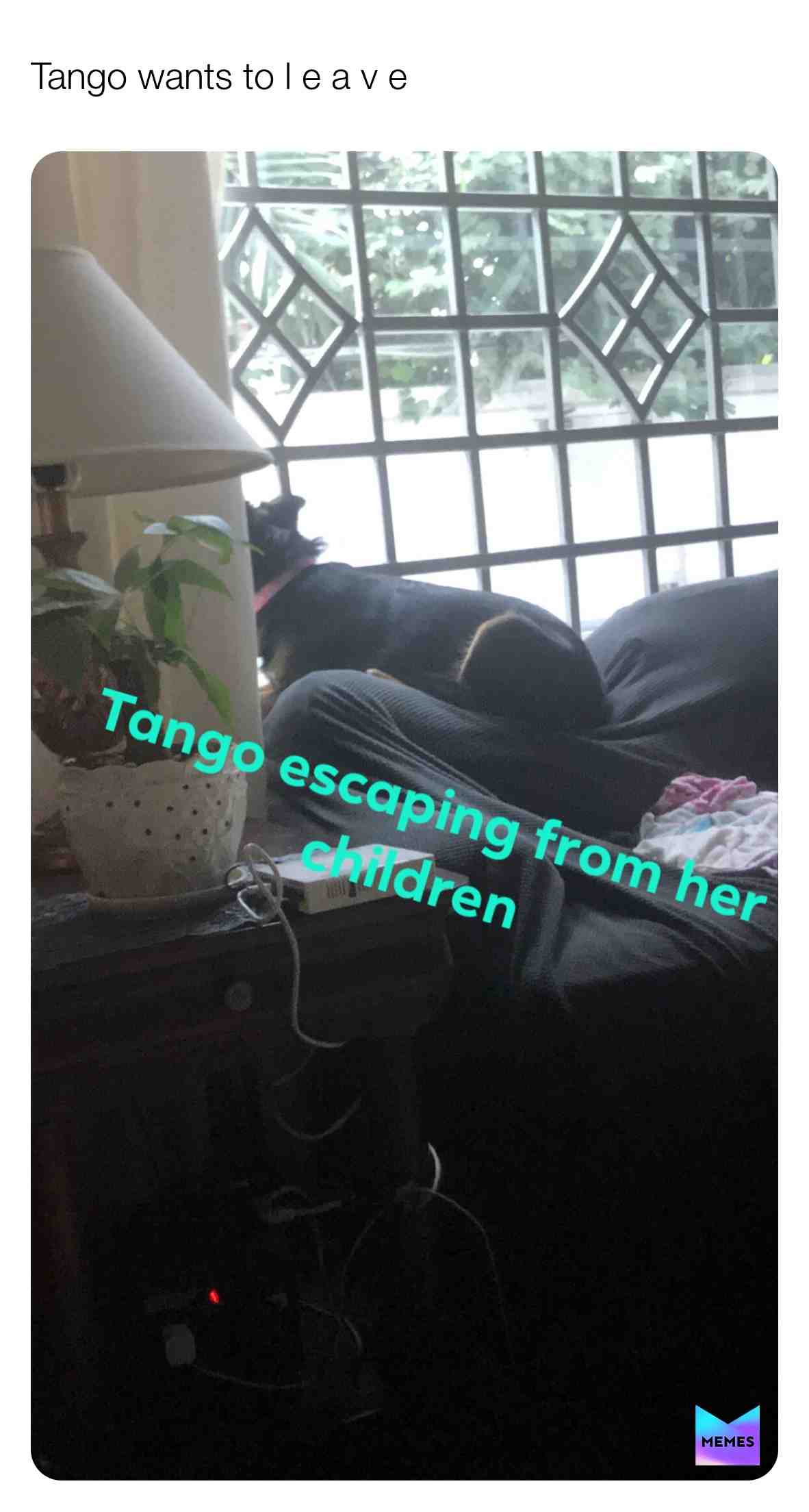 ​GoodGirlTango