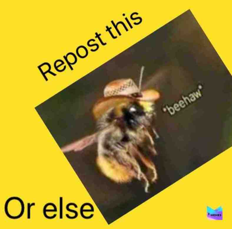 Beeeeehaw, pardner