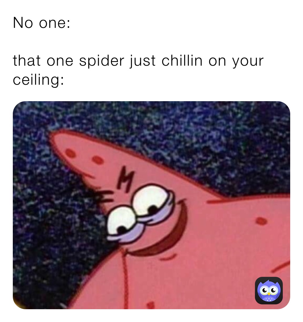 No one: 

that one spider just chillin on your ceiling:
