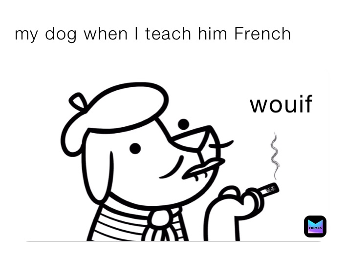 my dog when I teach him French 