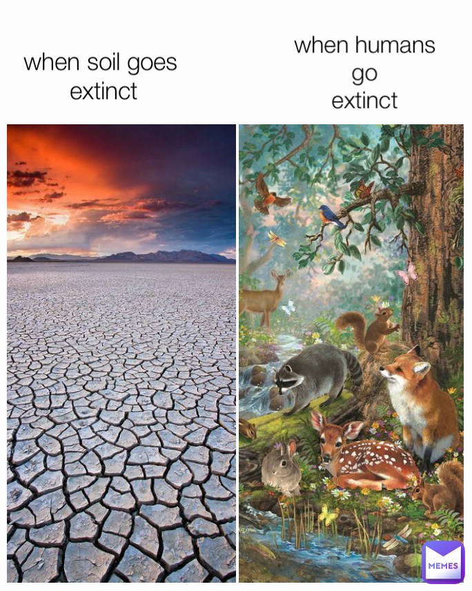 when soil goes 
extinct when humans go
extinct