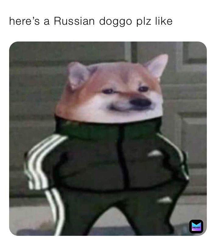 here’s a Russian doggo plz like