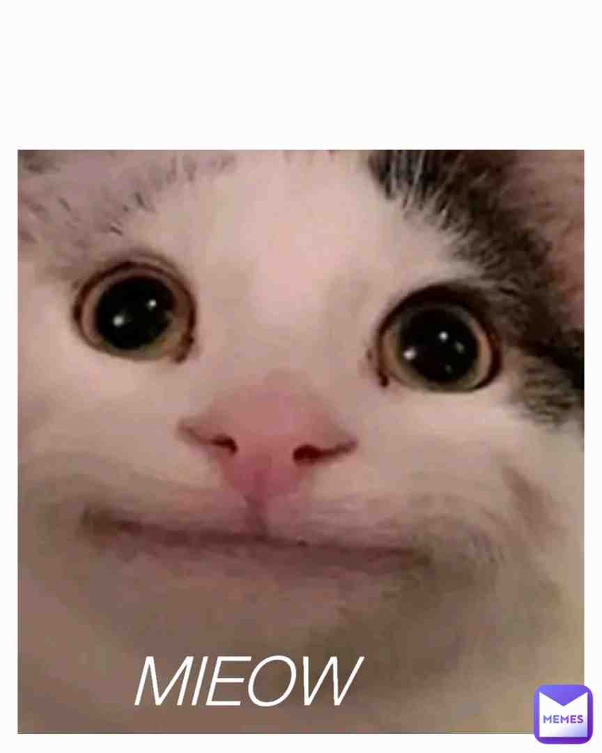 The cat is so funny 😅🤣