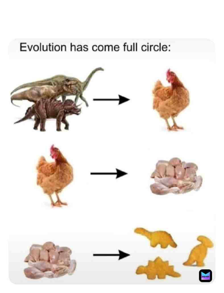 #Evolution #true #meme #fun