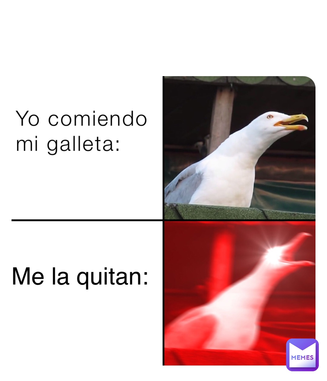 Yo comiendo
mi galleta: Me la quitan: