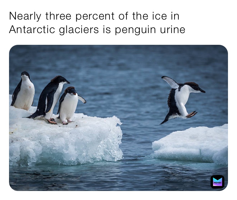 Nearly three percent of the ice in Antarctic glaciers is penguin urine