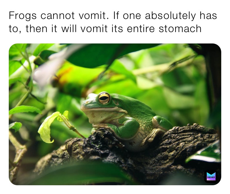 Frogs cannot vomit. If one absolutely has to, then it will vomit its entire stomach