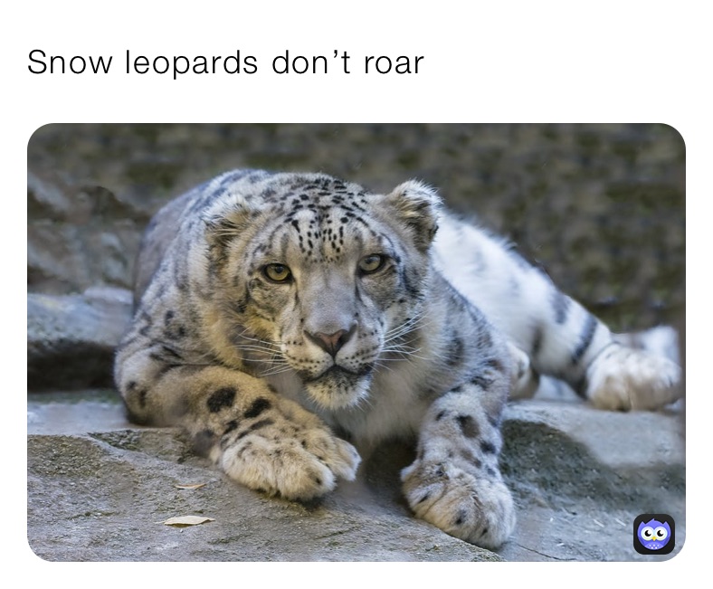 Snow leopards don’t roar Snow leopards don’t roar