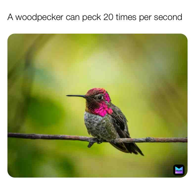 Fun Woodpecker Fact\u2757\ufe0f
#wood #woodpecker #facts \u200b #live \u200b #dream \u200b #dogs #newpage