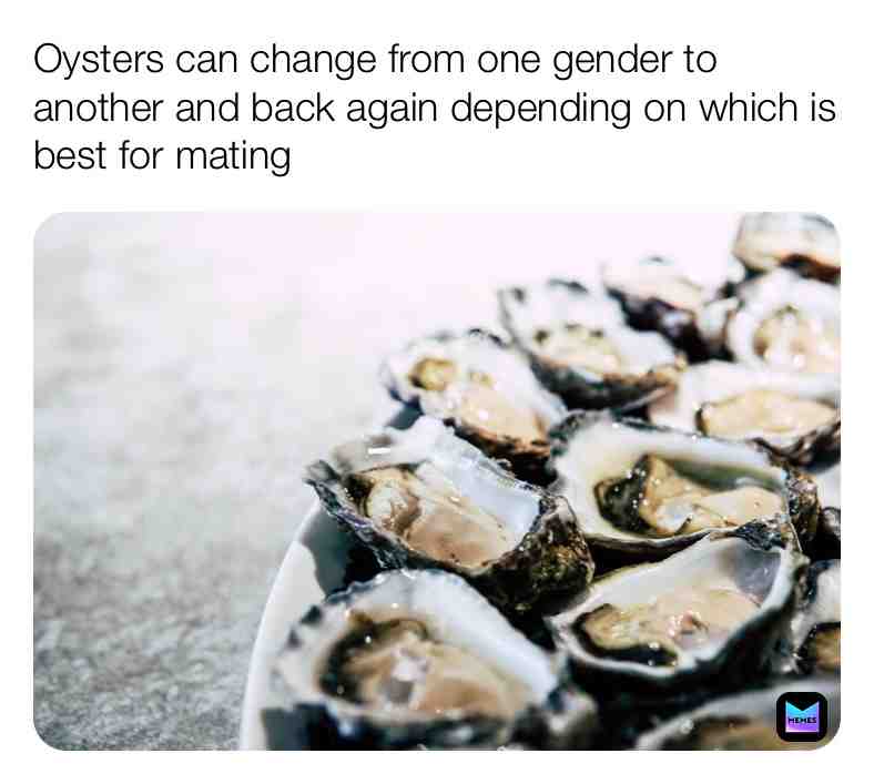 Fun Oyster Fact\u2757\ufe0f
#oyster #fact #true #animals #ocean #life #facinating #facts \u200b #live \u200b #dream