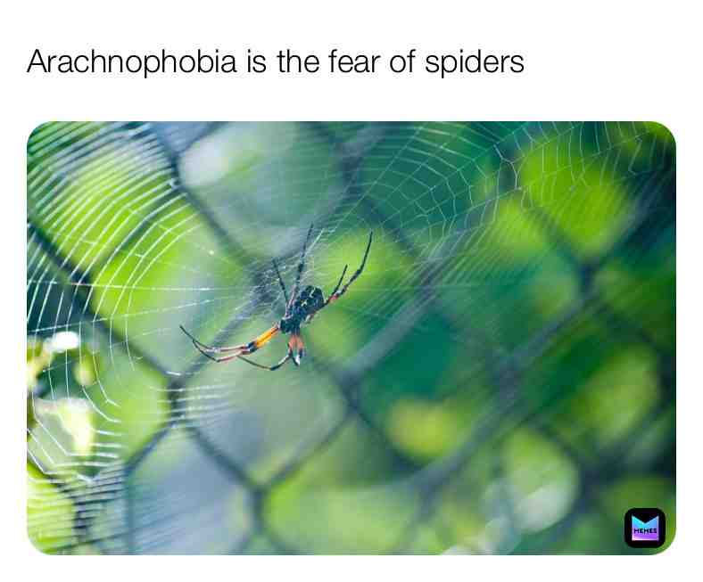 Fun Spider Fact\u2757\ufe0f
#spider #facts #animals #animalfact #funfacts #truefacts #life #spiders #nature #live #follow #newpage #dailyposts #everyday \u200b #dream \u200b #reallife #live #arachnophobia