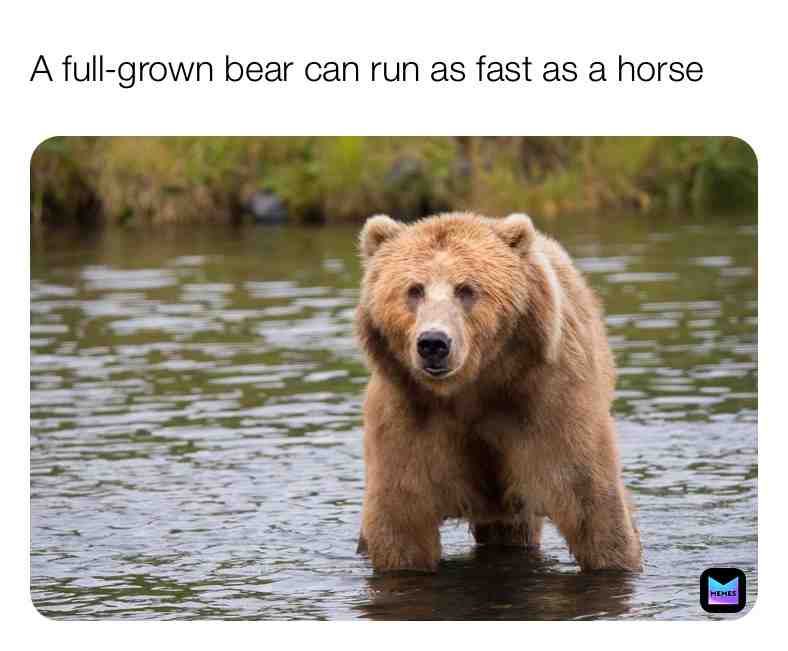 Fun Bear Fact\u2757\ufe0f
#bears #bearfacts #wildlife #nature #outside #animals #horses #horse #realife #facts #funfacts #bear #newpost #dailpost #life \u200b #live \u200b #dream #everydaypost #truefacts