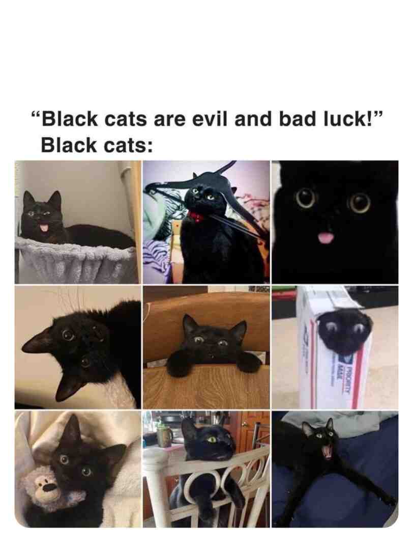 Meme shared by @Blueshift_Tha_Proto