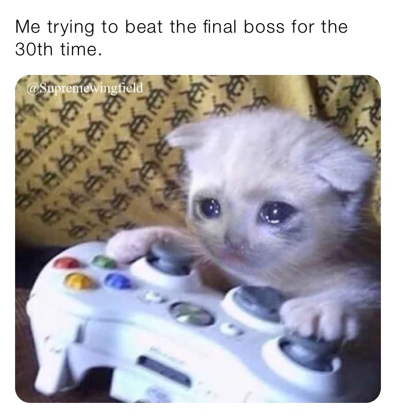 Me trying to beat the final boss for the 30th time. 